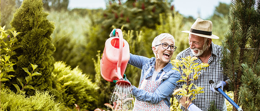Older Couple Gardening Together