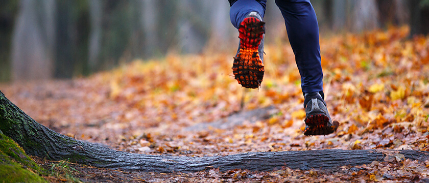 Runner in Fall Woods, Lots of Yellow and Orange Leaves