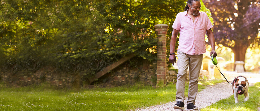 Guy Walking His Bulldog in Park