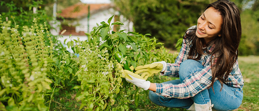 Woman Kneeling and Gardening